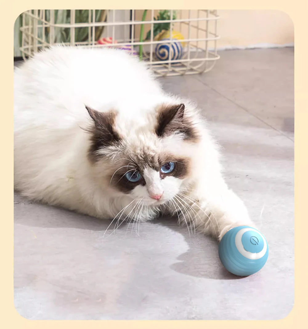 Smart Cat Interactive Toy Ball – Automatic Rolling, Obstacle Avoidance, USB Rechargeable, for Indoor Cats